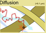 HEPA filter Diffusion