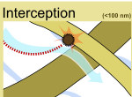 Hepa Filter Interception